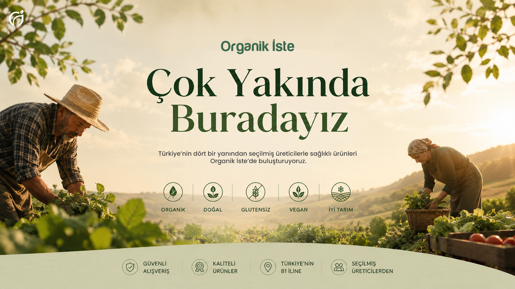 Bakım Modu